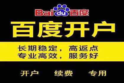 百度竞价广告案例分析：成功之道揭秘